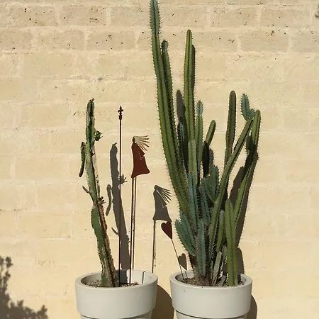 Casa Eva *